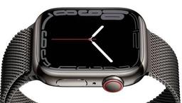 Refurbished Apple Watch Series 7 - Reebelo Ireland