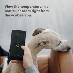 Refurbished Ecobee SmartSensors for Indoor (2 Pack) - Reebelo Ireland
