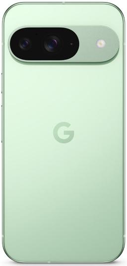 Refurbished Google Pixel 9 - Reebelo Ireland