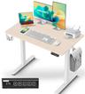 IMGadgets Standing Electric Adjustable Desk 40" x 24"