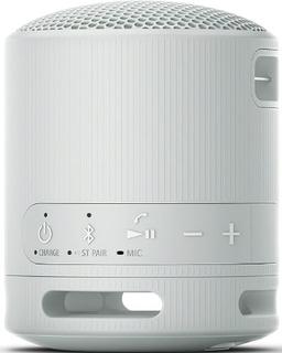 Refurbished Sony SRS-XB100 Portable Wireless Speaker - Reebelo Ireland