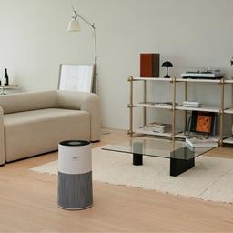 Refurbished Winix C610 Refurbished Air Purifier for Large Rooms with True HEPA Filter - Reebelo Ireland