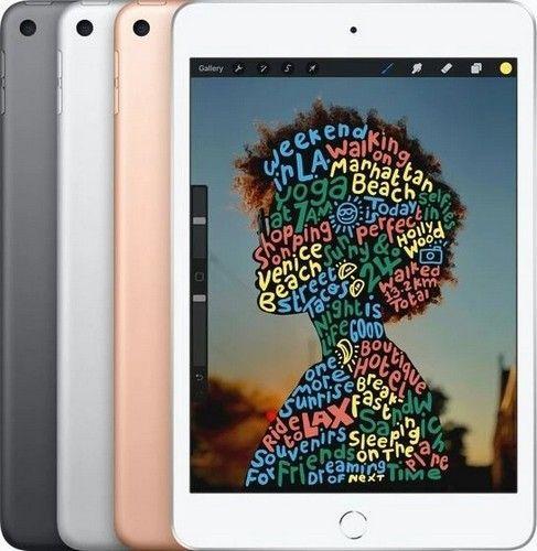 Refurbished iPad Mini 5 (2019) with Screen Protector - Reebelo Ireland